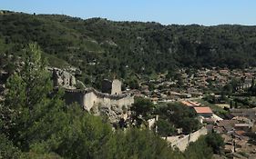 Les Lavandes De Severine